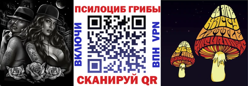 Галлюциногенные грибы Psilocybine cubensis  Абинск 